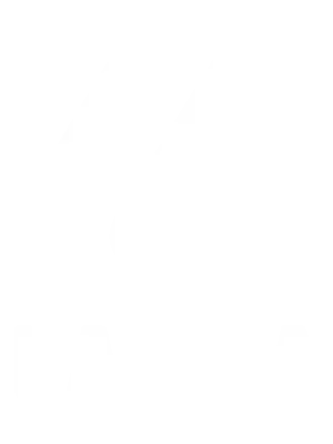 11 (4)