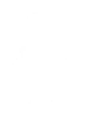 13 (3)