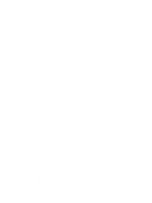 3-1 (2)